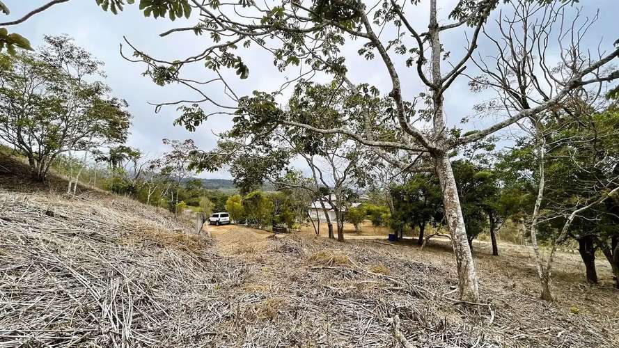 TERRENO EN VENTA EN SAN PEDRO, SAN RAMÓN - Imagen 6