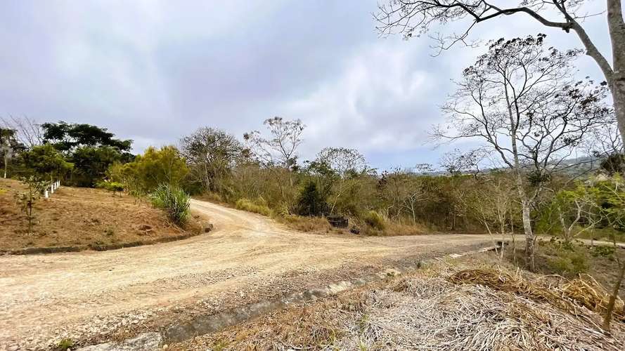 TERRENO EN VENTA EN SAN PEDRO, SAN RAMÓN - Imagen 5