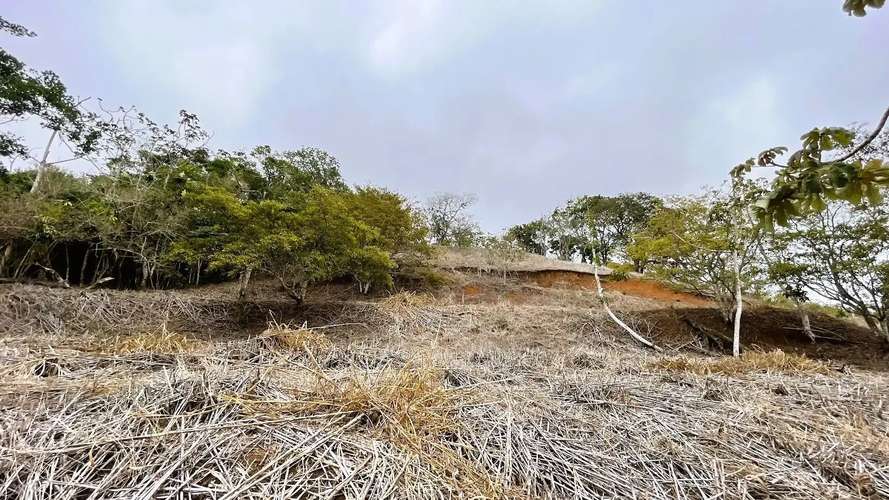 TERRENO EN VENTA EN SAN PEDRO, SAN RAMÓN - Imagen 7