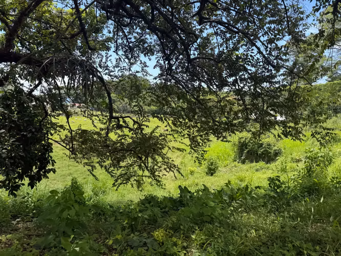 Parcela de Desarrollo Premier con Vista al Mar en Playa Agujas: 5.1 Hectáreas en la Costa de Garabito, Costa Rica - Imagen 20