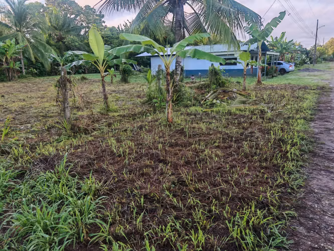 Lote en Venta 420m2 en Bambel 2 de Rio Claro, Puntarenas | Traspaso Incluido!