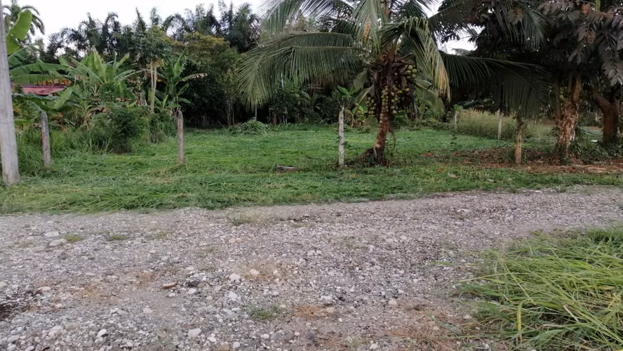 Lote en Venta 420m2 en Bambel 2 de Rio Claro, Puntarenas | Traspaso Incluido!