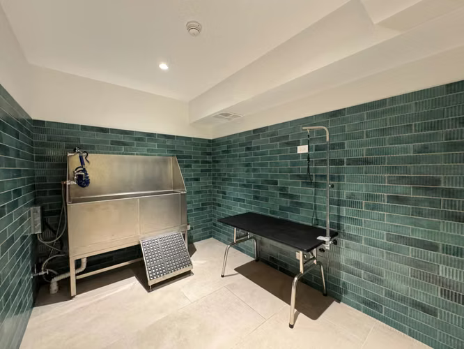 Apartamento en alquiler con línea blanca, para estrenar! - Imagen 18