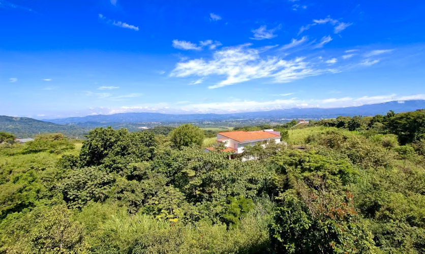 Bambues Breezes Dream Home Site | Suburban Living
