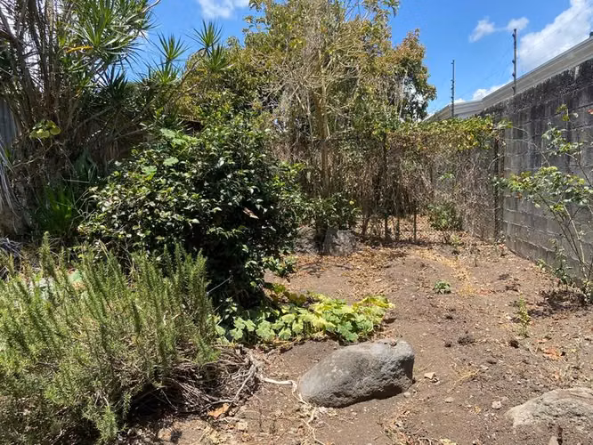 Venta de terreno en el Carmen, Cartago 13431 - Imagen 2