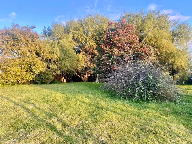 Lote en Oreamuno/urbanización-plano