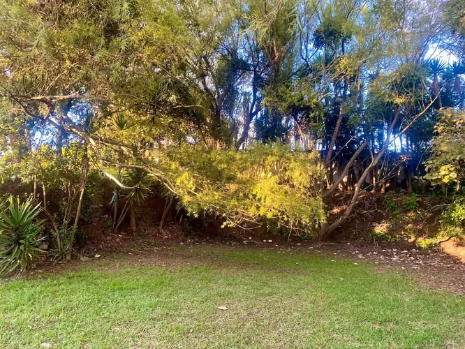Lote en Oreamuno/urbanización-plano