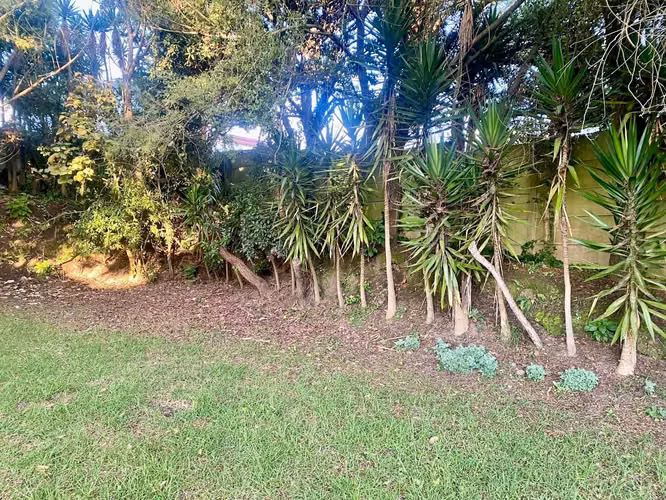 Lote en Oreamuno/urbanización-plano