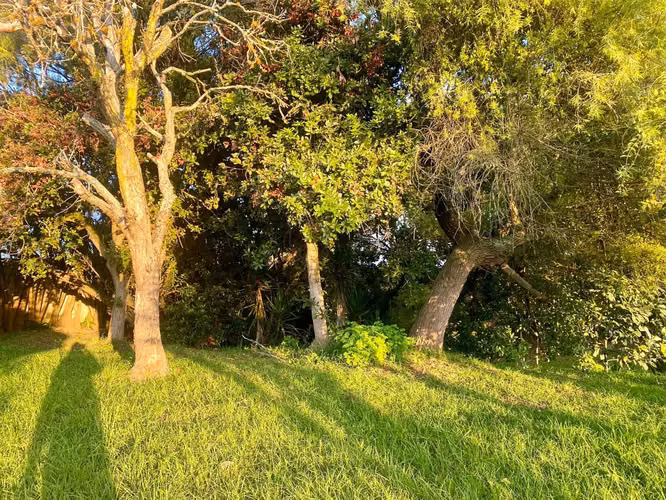 Lote en Oreamuno/urbanización-plano