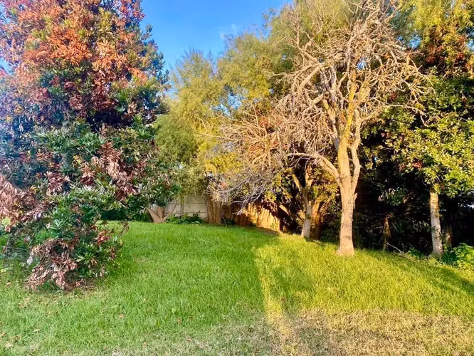 Lote en Oreamuno/urbanización-plano