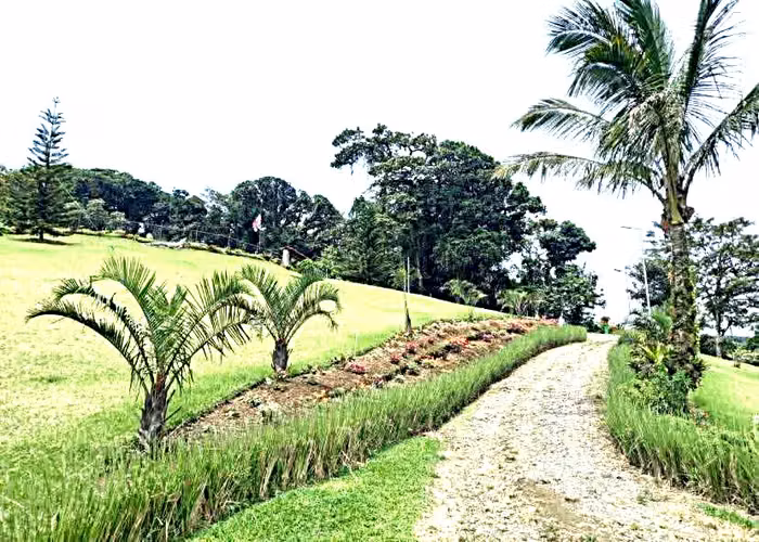 Venta Finca San Ramon Se puede fraccionar - Imagen 2
