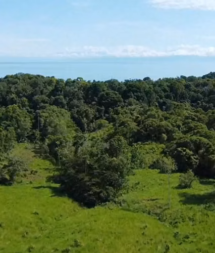 Santuario Vivo en Bahía Drake: 17 Hectáreas de Bosque Primario con Acceso al Mar y Río Agujitas - Imagen 1