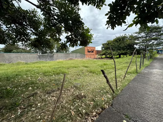 ALQUILER DE TERRENO EN LA PLYWOOD ALAJUELA