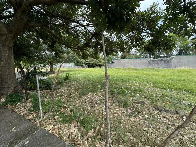 ALQUILER DE TERRENO EN LA PLYWOOD ALAJUELA