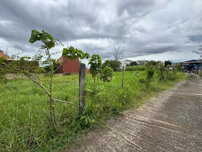 ALQUILER DE TERRENO EN LA PLYWOOD ALAJUELA