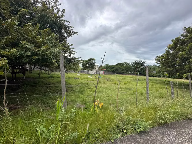 ALQUILER DE TERRENO EN LA PLYWOOD ALAJUELA