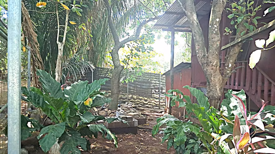 Venta Miramar cabaña rustica amueblada ganga - Imagen 2