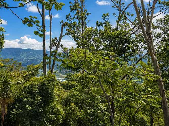 VENTA DE LOTE CON VISTA EN HACIENDA EL COCOY, GUACHIPELÍN DE ESCAZÚ*