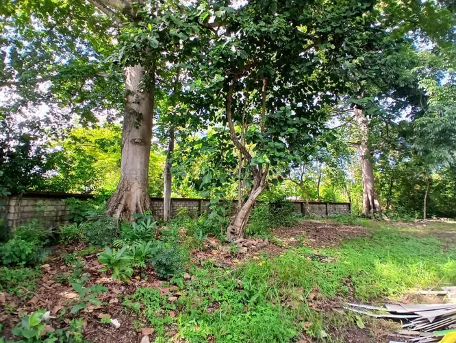 Venta de Lote en Santa Cruz-27 de Abril. RAH 26-2208 - Imagen 6