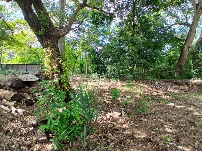 Venta de Lote en Santa Cruz-27 de Abril. RAH 26-2208 - Imagen 2