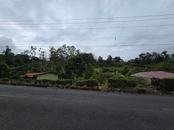 VENDO LOTE EN TURRIALBA-GUAYABO ABAJO. - Imagen 7