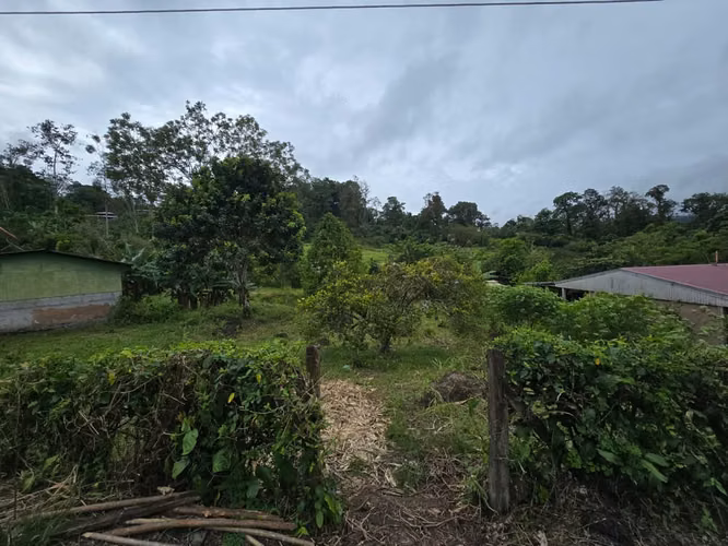 VENDO LOTE EN TURRIALBA-GUAYABO ABAJO. - Imagen 9