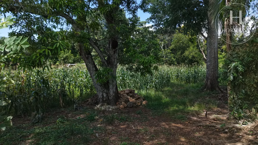 Terreno en Venta Orotina Alajuela 2.942 m² NJA1431JB - Imagen 9