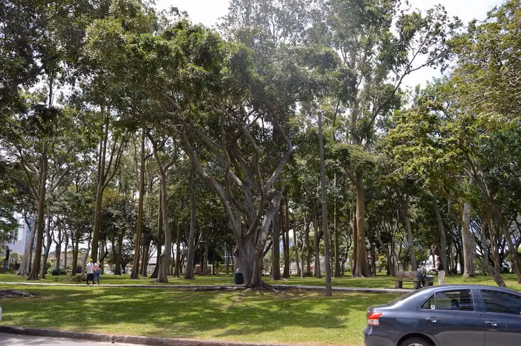 Apartamento con balcón y vista a la Cordillera | Frente al Parque del Café - Imagen 12