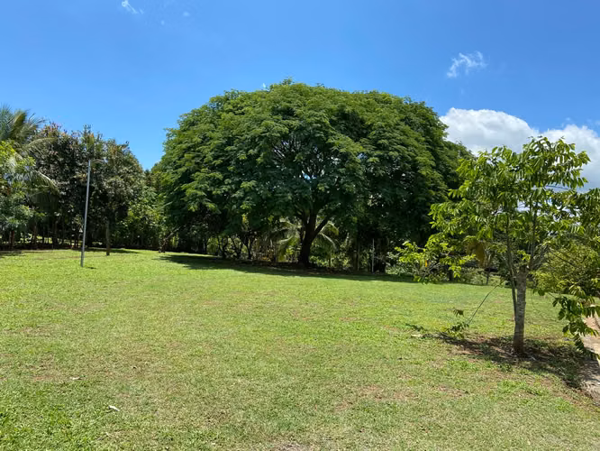 Venta de finca de 9.000 m² con casa y piscina cerca de Jacó - Imagen 3
