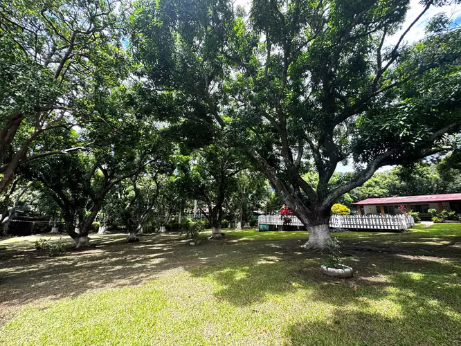 Venta de Finca con uso de suelo mixto y alto potencial de desarrollo en Santa Ana - Imagen 11