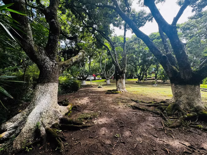 Venta de Finca con uso de suelo mixto y alto potencial de desarrollo en Santa Ana - Imagen 15