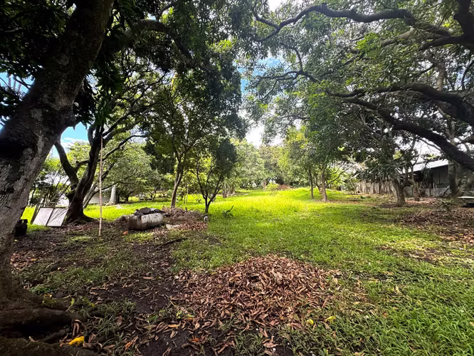Venta de Finca con uso de suelo mixto y alto potencial de desarrollo en Santa Ana - Imagen 16