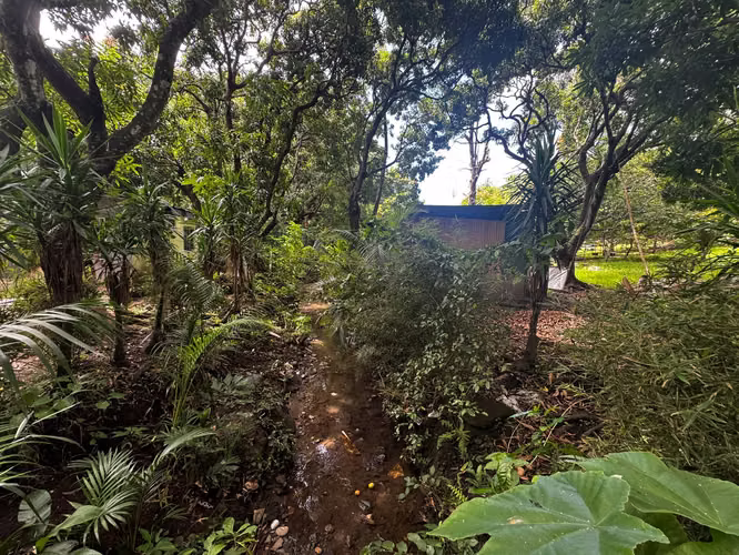 Venta de Finca con uso de suelo mixto y alto potencial de desarrollo en Santa Ana - Imagen 17