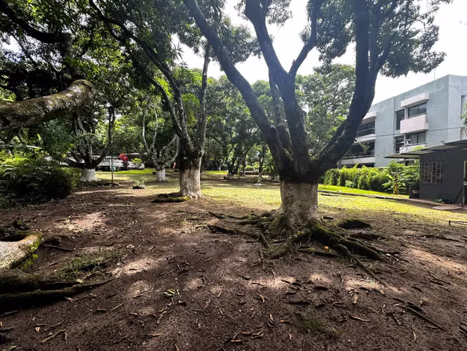 Venta de Finca con uso de suelo mixto y alto potencial de desarrollo en Santa Ana - Imagen 14