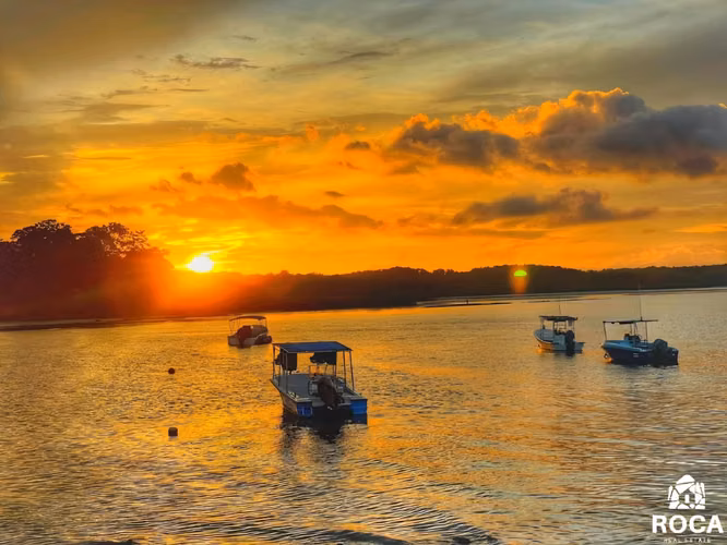 Venta de casa en Puerto Jimenez - Imagen 3