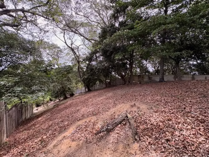 Lote Residencial de 411.81 m² en Brasil de Santa Ana | Privacidad y Naturaleza | US$74,100 ID27345 - Imagen 2