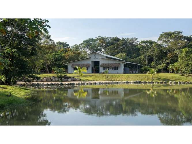 VENTA  DE LOTES, PUNTARENAS, JACÓ, PLAYA HERMOSA - Imagen 13