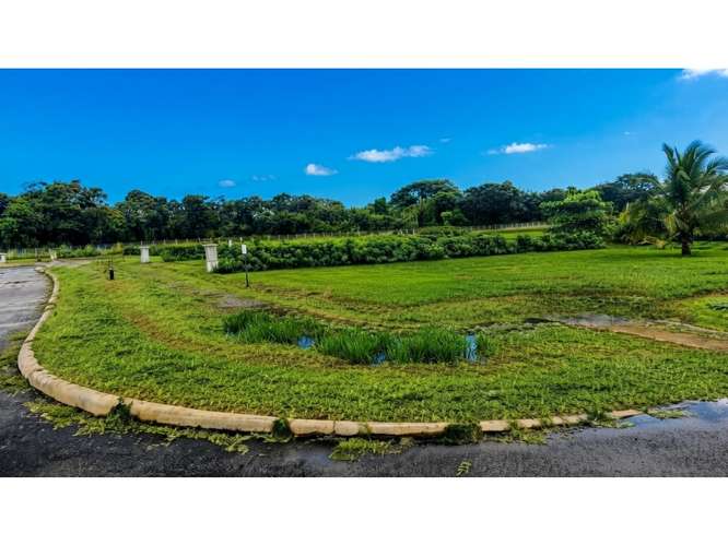 VENTA  DE LOTES, PUNTARENAS, JACÓ, PLAYA HERMOSA