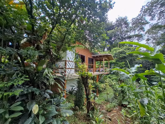 Se Vende Propiedad de 5,800 m² en Bosque Lluvioso – La Tigra, San Carlos