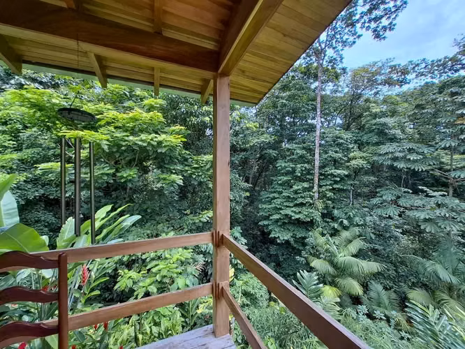Se Vende Propiedad de 5,800 m² en Bosque Lluvioso – La Tigra, San Carlos