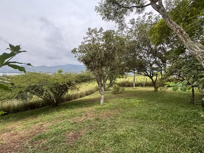  Propiedad para desarrollo | Santiago de San Ramón | 9.683,09 m² | 280.000.000 - Imagen 9