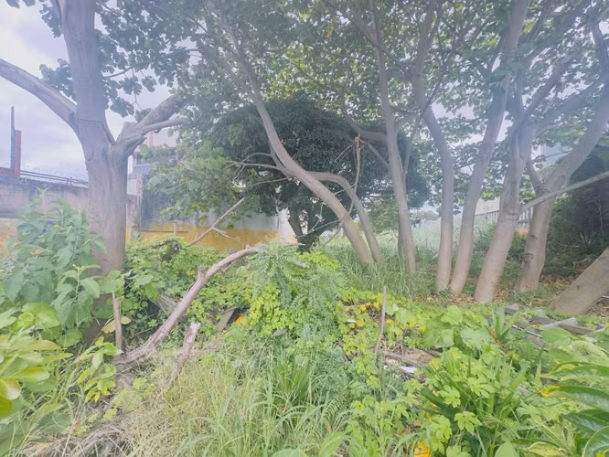 Terreno comercial en venta — San Juan de Tibás, contiguo a Ekono - Imagen 5