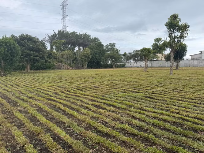 Lote 543m2 en Los Angeles Santo Domingo - Imagen 2