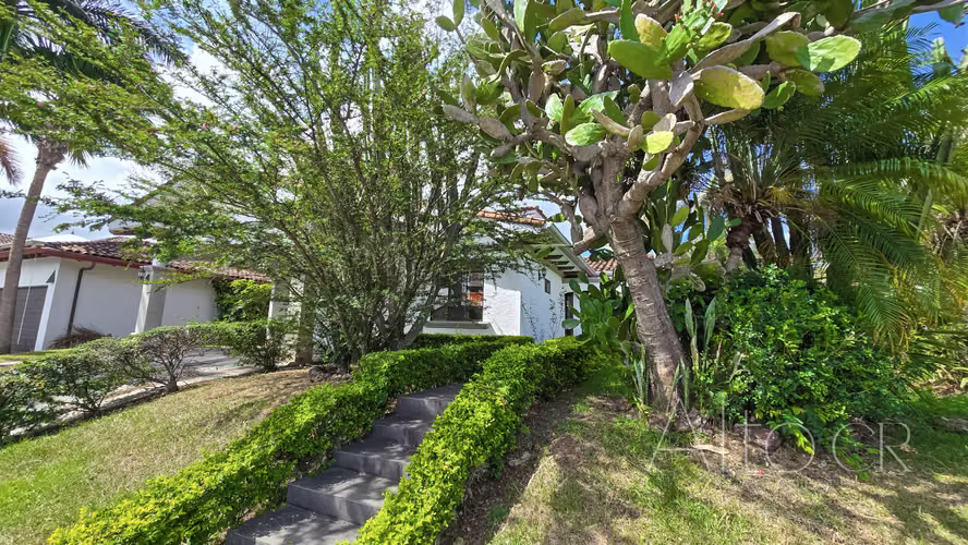 CASA PRECIOSA DE UN SOLO NIVEL CON CUARTO DE SERVICIO  |  750m² - Imagen 12
