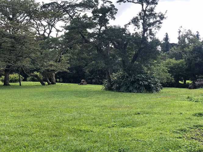 Venta finca San Rafael Heredia, 4 fincas filiales, lago, río, 36432 m2 - Imagen 6