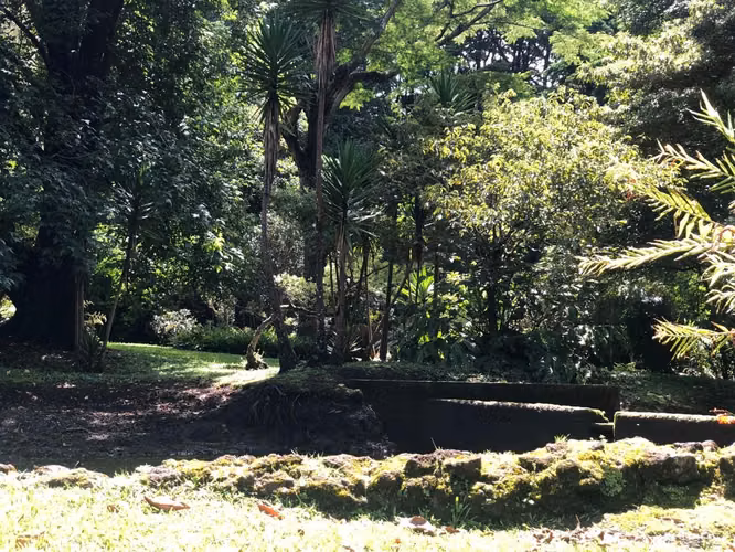 Venta finca San Rafael Heredia, 4 fincas filiales, lago, río, 36432 m2 - Imagen 20