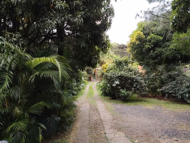 Alquiler de Apartamento en zona ecologica y tranquila. - Imagen 7