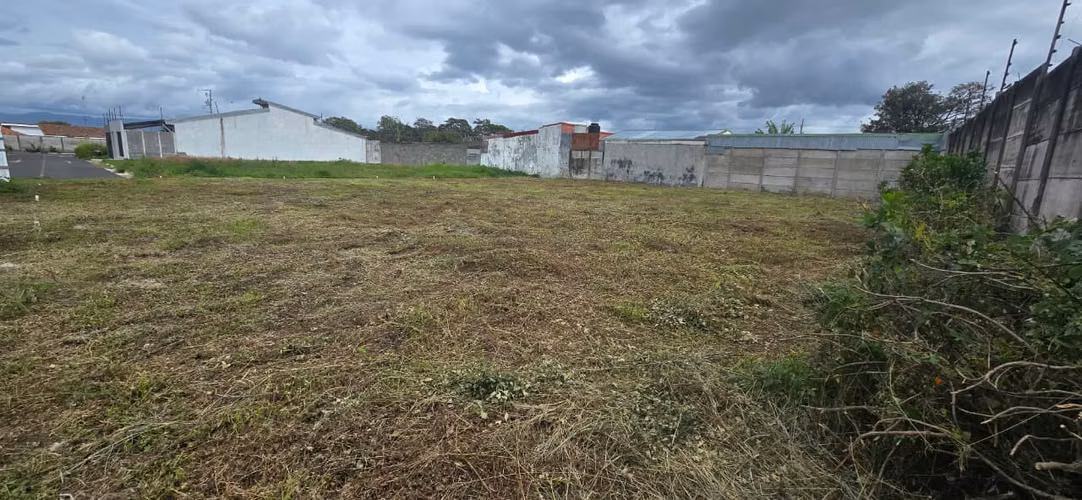 SE VENDE LOTE EN SANTO TOMAS DE SANTO DOMINGO - Imagen 4