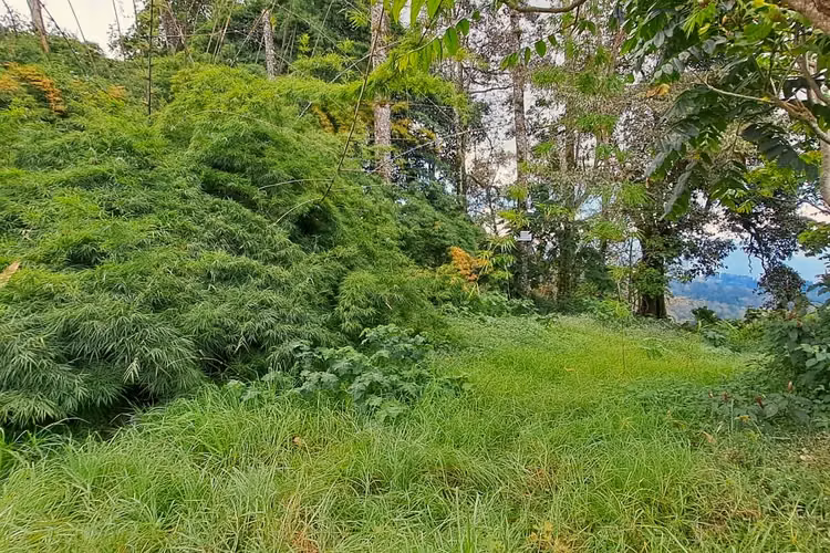 Terreno con vista panorámica en Rancho Redondo, Goicoechea - Imagen 4