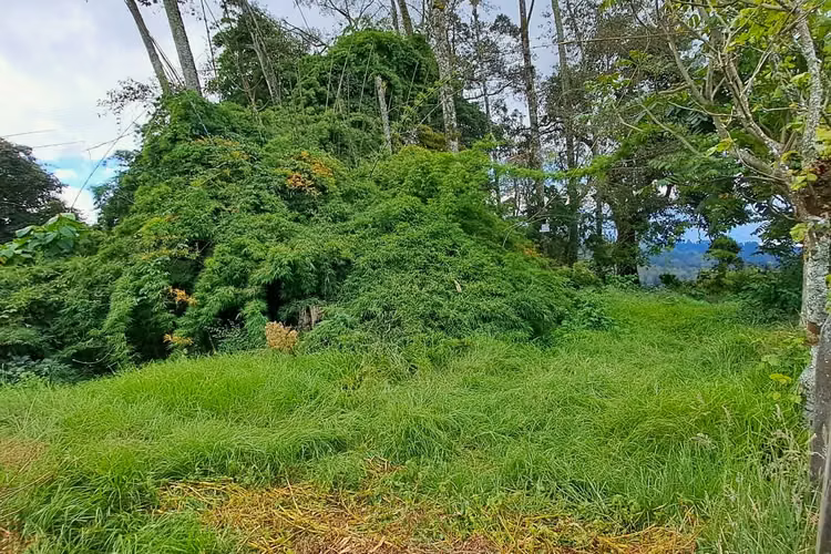 Terreno con vista panorámica en Rancho Redondo, Goicoechea - Imagen 3
